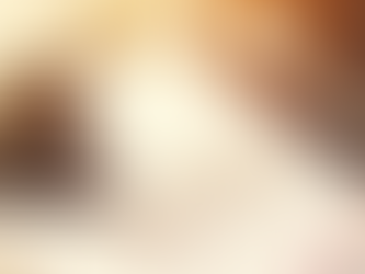 Recibe Senado Pre-Criterios 2027