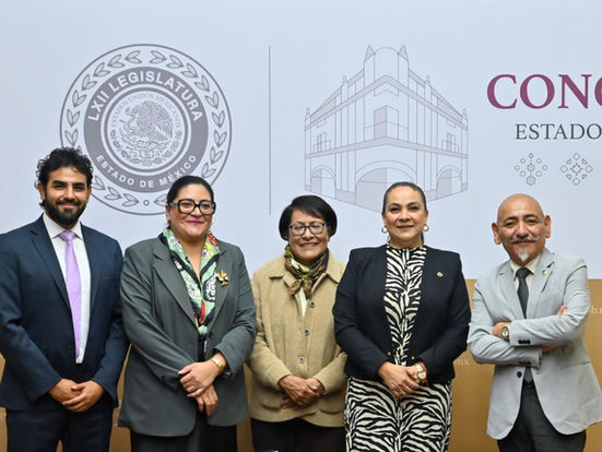 Perfilan sitio digital en el Congreso para participación ciudadana