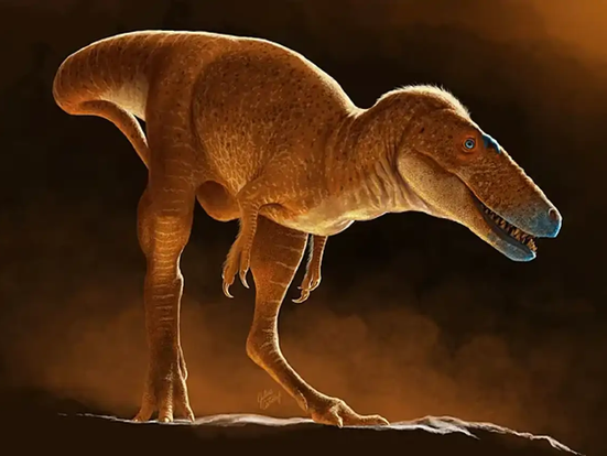 Dinosaurio Khankhuuluu mongoliensis, antepasado del Tyrannosaurus Rex