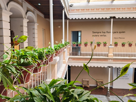 Ven a celebrar el 34 aniversario del Museo del Paisaje José María Velasco