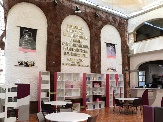 Estas vacaciones de verano, visita la biblioteca del IEEM