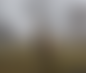 Protegen a especies que habitan en Zacango durante la temporada de frío