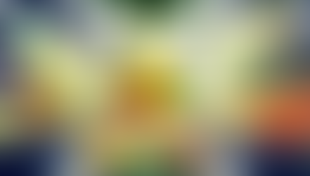 Profeco revela variaciones de más de 200 pesos en productos básicos en el país