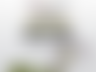 Invita Ricardo Moreno a construir juntos el Programa de Ordenamiento Ecológico de Toluca