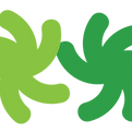 LOGO_01_flor_FOSC (2).png
