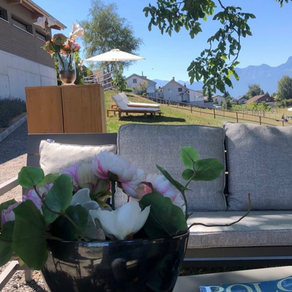 Summer Vibes and Surprises at Swiss Low Goal