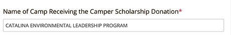 Screenshot 2025-07-25 at 18-23-09 ACA Camper Scholarship Program for Camps - Formstack.png