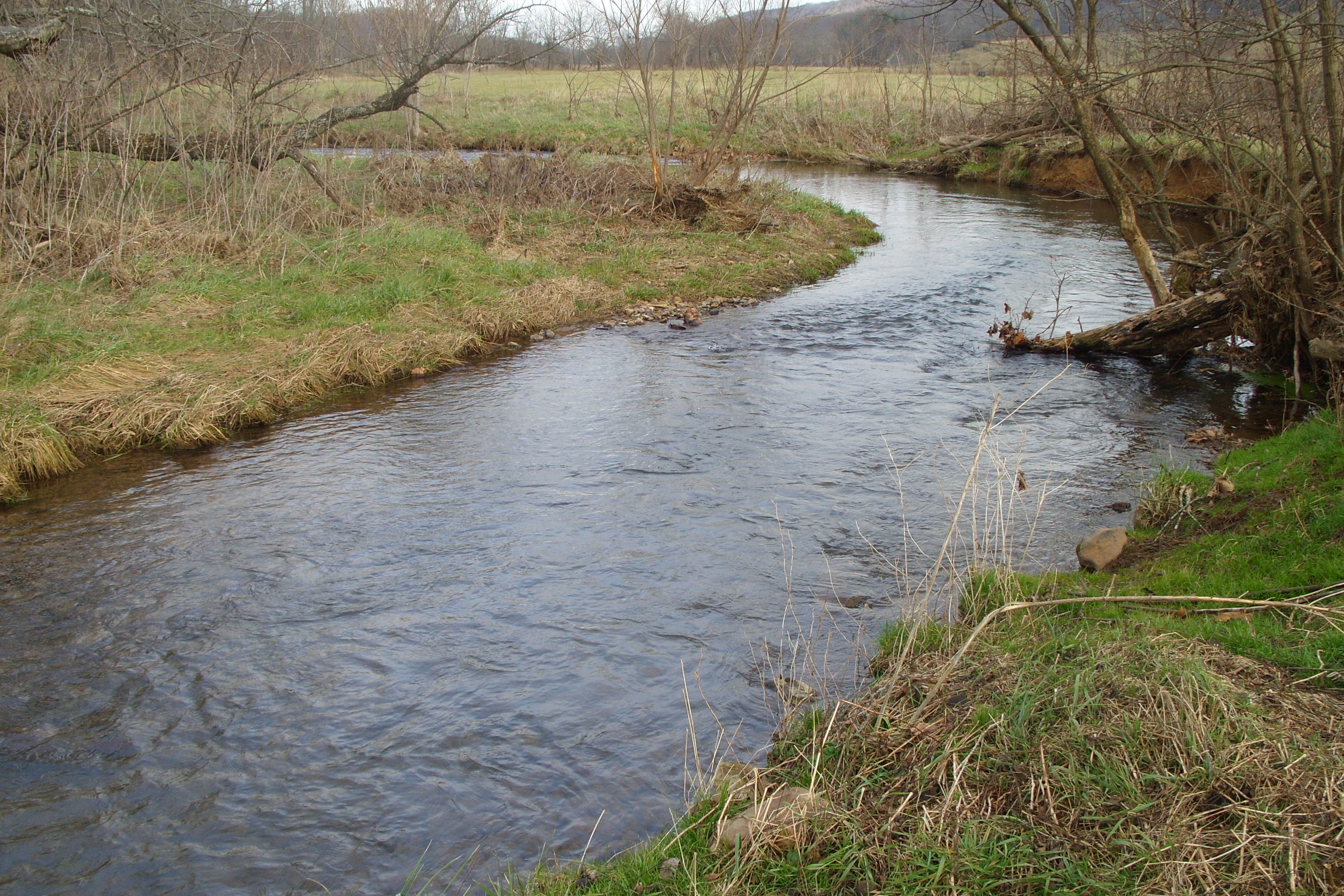 Small Creek