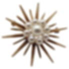 14K Yellow Gold Pearl Sunburst Brooch Pin
