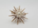 14K Yellow Gold Pearl Sunburst Brooch Pin