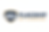 Flagship RV Cleaning Logo Option 2 Horizontal.png