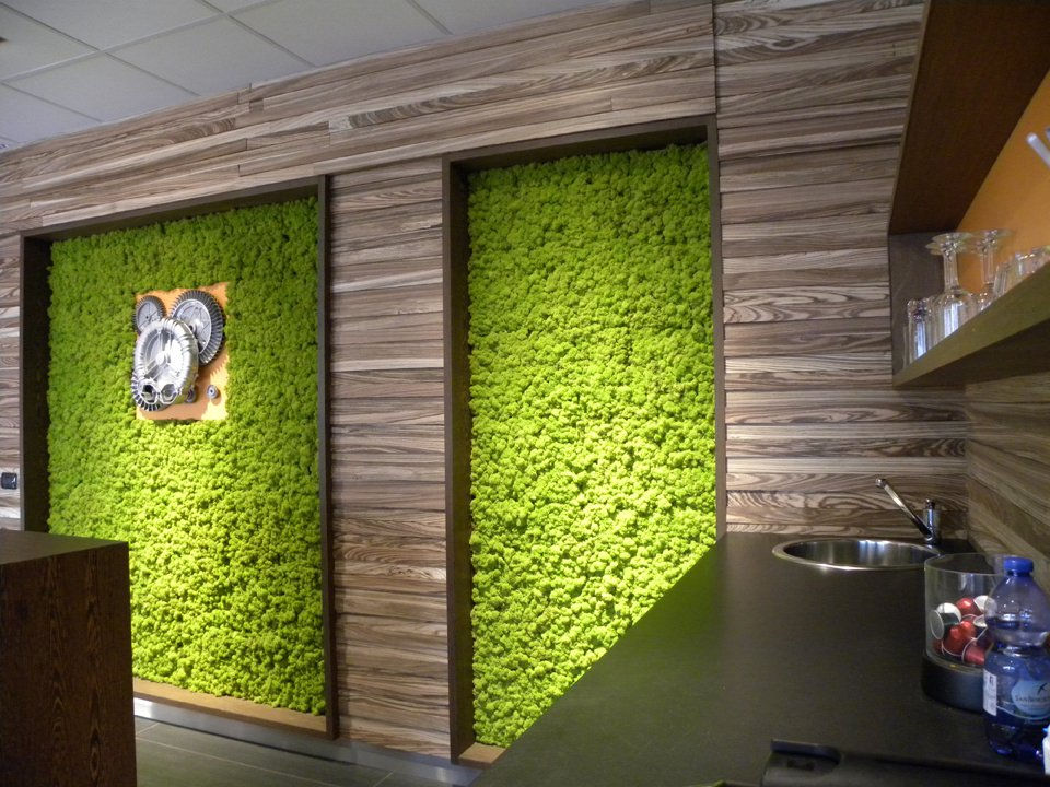 moss 05.jpg