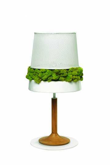 moss 011.jpg