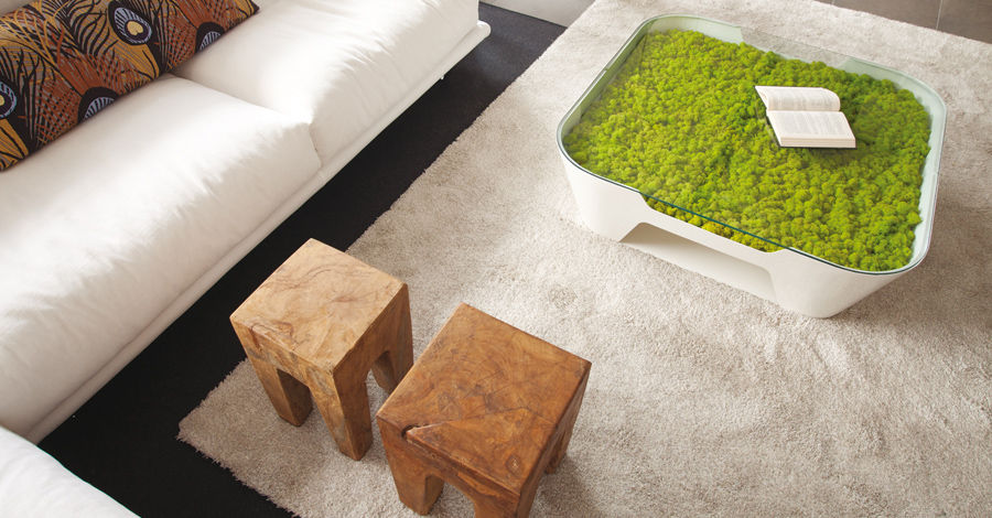 moss 02.jpg