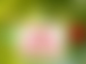 Now, that's the spirit!