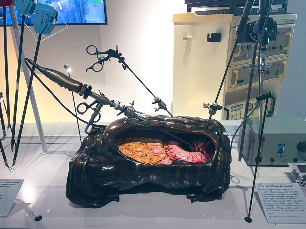 Hunterian soc media - 8.jpeg
