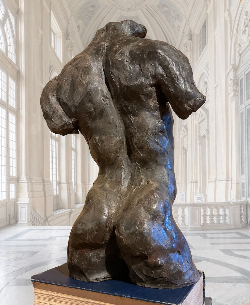 Andrew torso webs - 2.jpeg