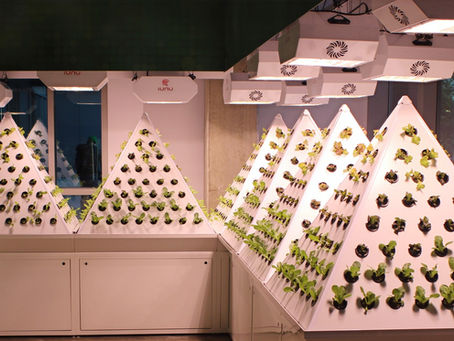 Urban Agriculture and Hydroponics 101