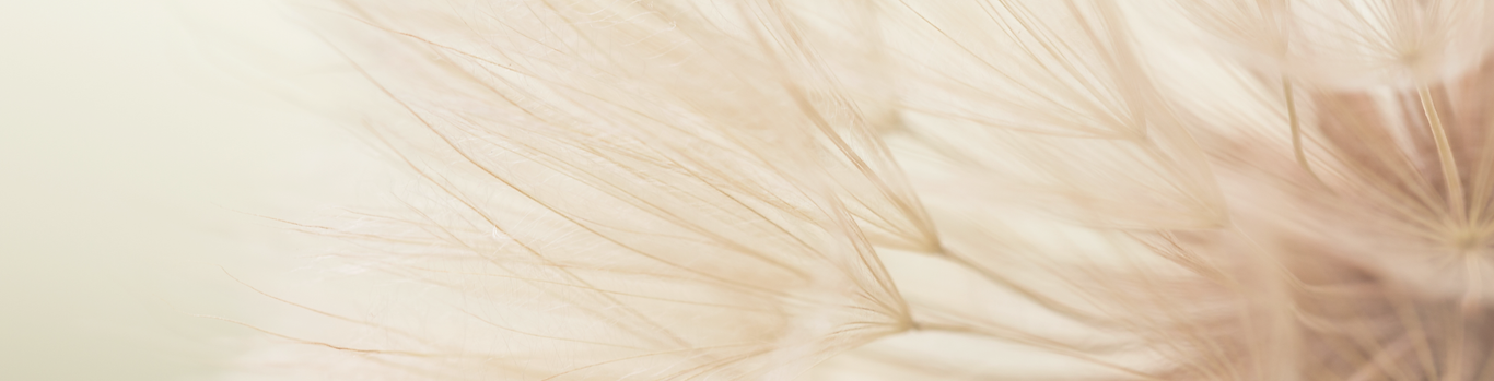 Essenztage quer-3.png