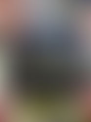 Quais as diferenças entre downpipe e midpipe?