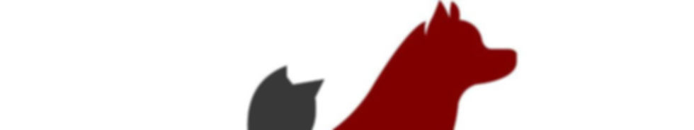 Logo_Follow Us.jpg