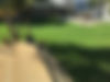 IMG_1463.jpeg