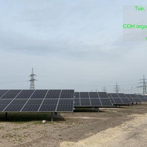 WhatsApp Image 2023-03-12 at 22.59.06 (1).jpeg