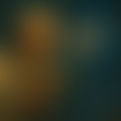 Make Neural Circuits Understandable