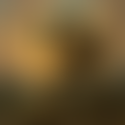 Training-Efficient RL