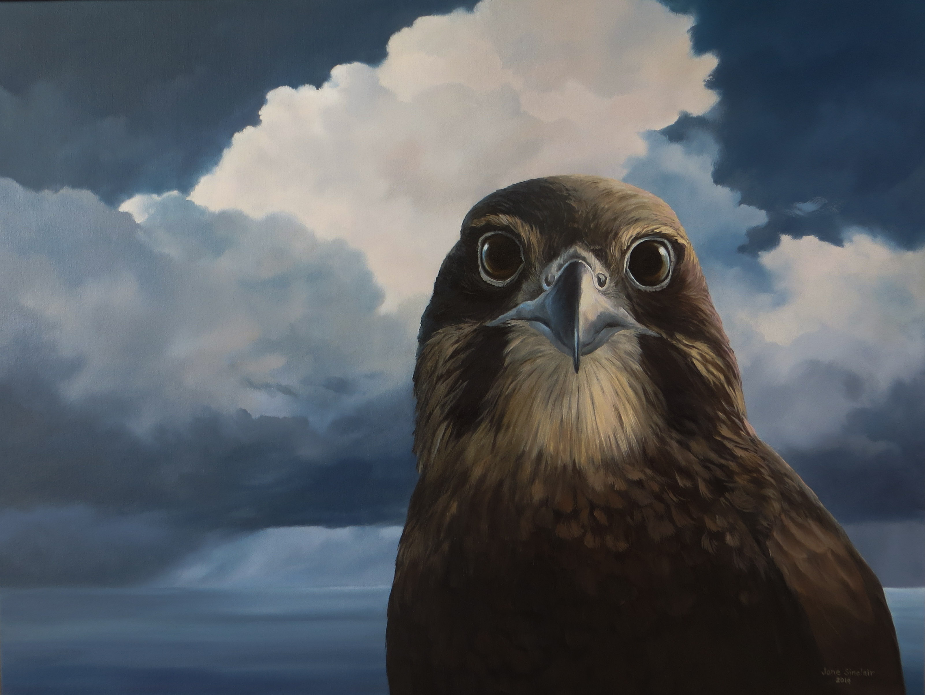 Native New Zealand Birds Jane Sinclair Art