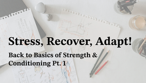 Stress, Recover, Adapt! - Back to Basics of Strength & Conditioning Pt. 1
