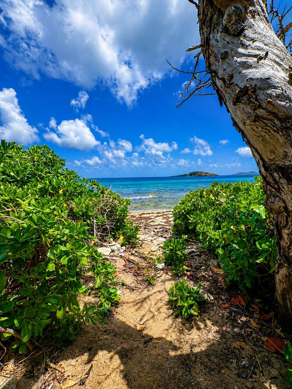 St.Croix U