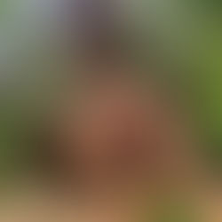          Jade's Magickal Adventures                       The Complete Tulum Mexico Guide    