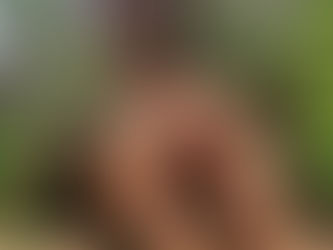          Jade's Magickal Adventures                       The Complete Tulum Mexico Guide    