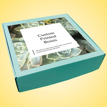 Hamper box green.jpg