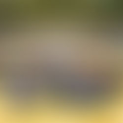 第6回 Q.E.D バドミントンオープン大会スコアシートの掲示