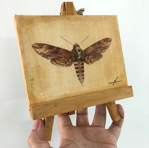 Skull Butterfly R$375,00