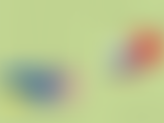 Are only the US and China left? –An Update on Economic Security and Geopolitics