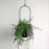 Thumbnail: Iron Wall-Hanging Planter 