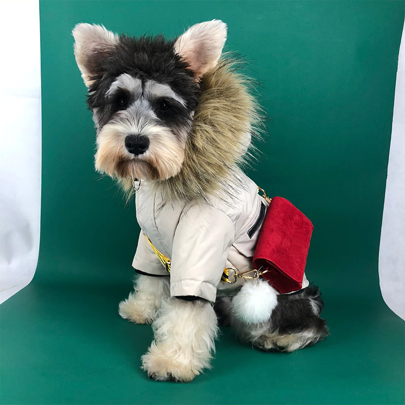 थंबनेल: Winter Pet Dog Clothes for Small Dogs Pets Clothing French Bulldog Down Jacket