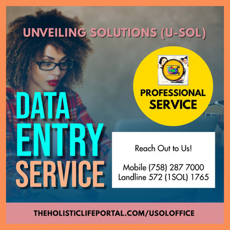 U-SOL DATA ENTRY SERVICES.jpeg