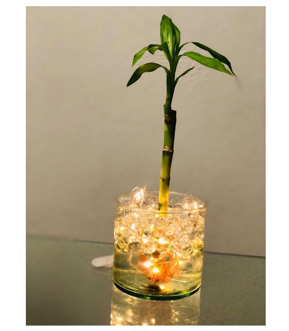 Miniatura: Lámpara de Bambú