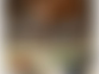 Esta Navidad nuestro deseo es que los animales de granjas industriales vuelvan a ser libres y felices.