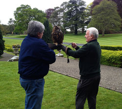 Ireland incentive Travel