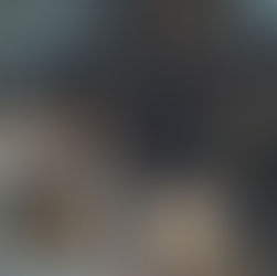 From Heritage to Healthcare: Should Traditional Medicine Have a Stake in Singapore's Public Healthcare System?