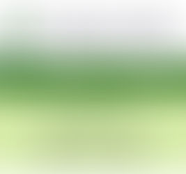 Antusiasme Siswa Kelas IX SMPS IT Mutiara Menjelang Pengumuman Kelulusan