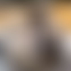 One Day: The Musical cast in rehearsals. Photo credit: Danny Kaan