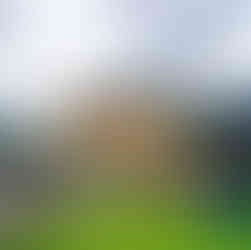 Underbelly Bristo Square at Edinburgh Festival Fringe 2022. Photo by Lisa in the theatre