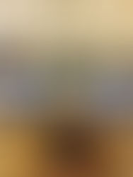 PNE pour Anton Dubreuil