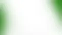 bg.webp